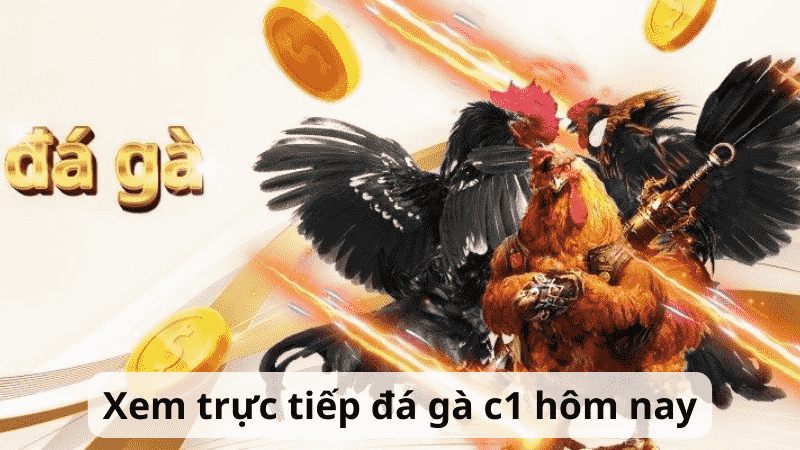 Ưu điểm của đá gà c1